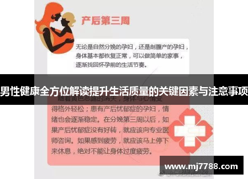 男性健康全方位解读提升生活质量的关键因素与注意事项